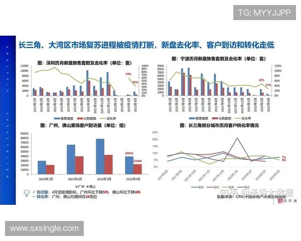 北京排球队的实力分析与未来发展展望探讨
