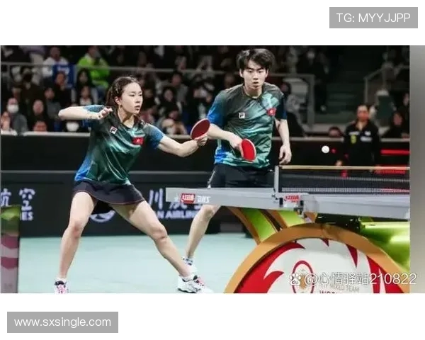 深圳乒乓球队的意识提升与团队合作探讨聚焦乒乓球发展新思路