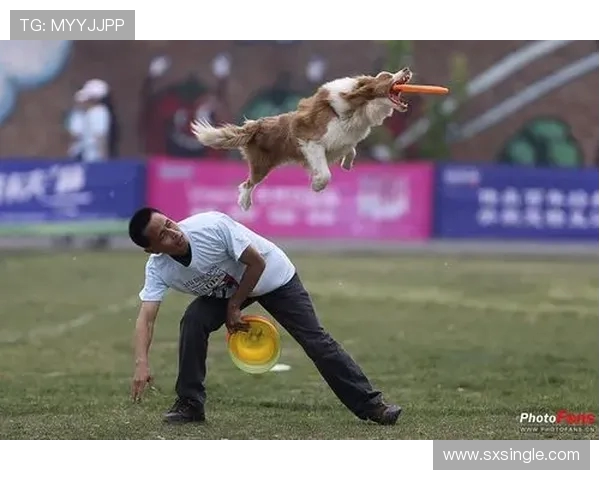 深圳飞盘队在极限运动世界杯中的精彩表现与状态分析 深圳飞盘队在极限运动世界杯中的精彩表现与状态分析