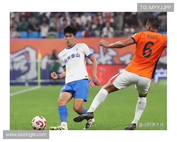 全新赛季激战正酣 球迷激情四溢 体育赛事迎来突破性进展与热烈反响